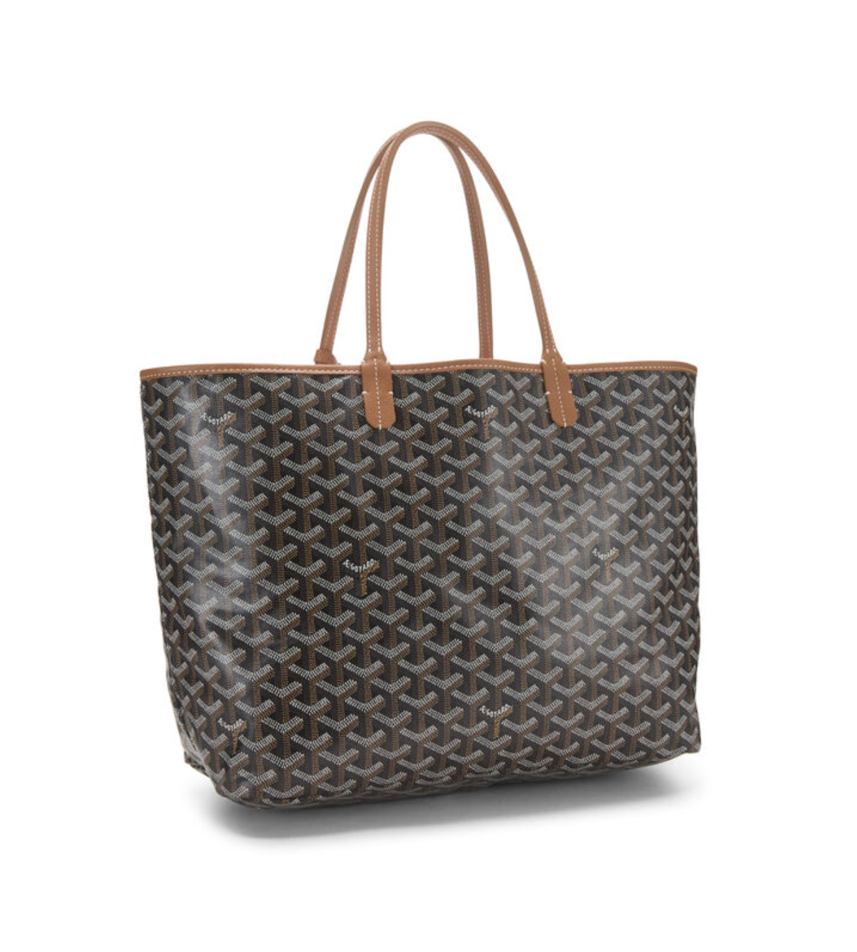 GOYARD Saint Louis PM in Black
