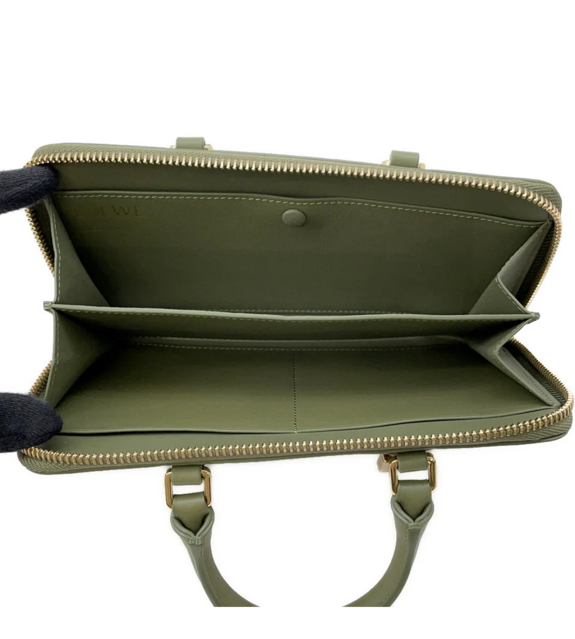 LOEWE Amazona Pouch
