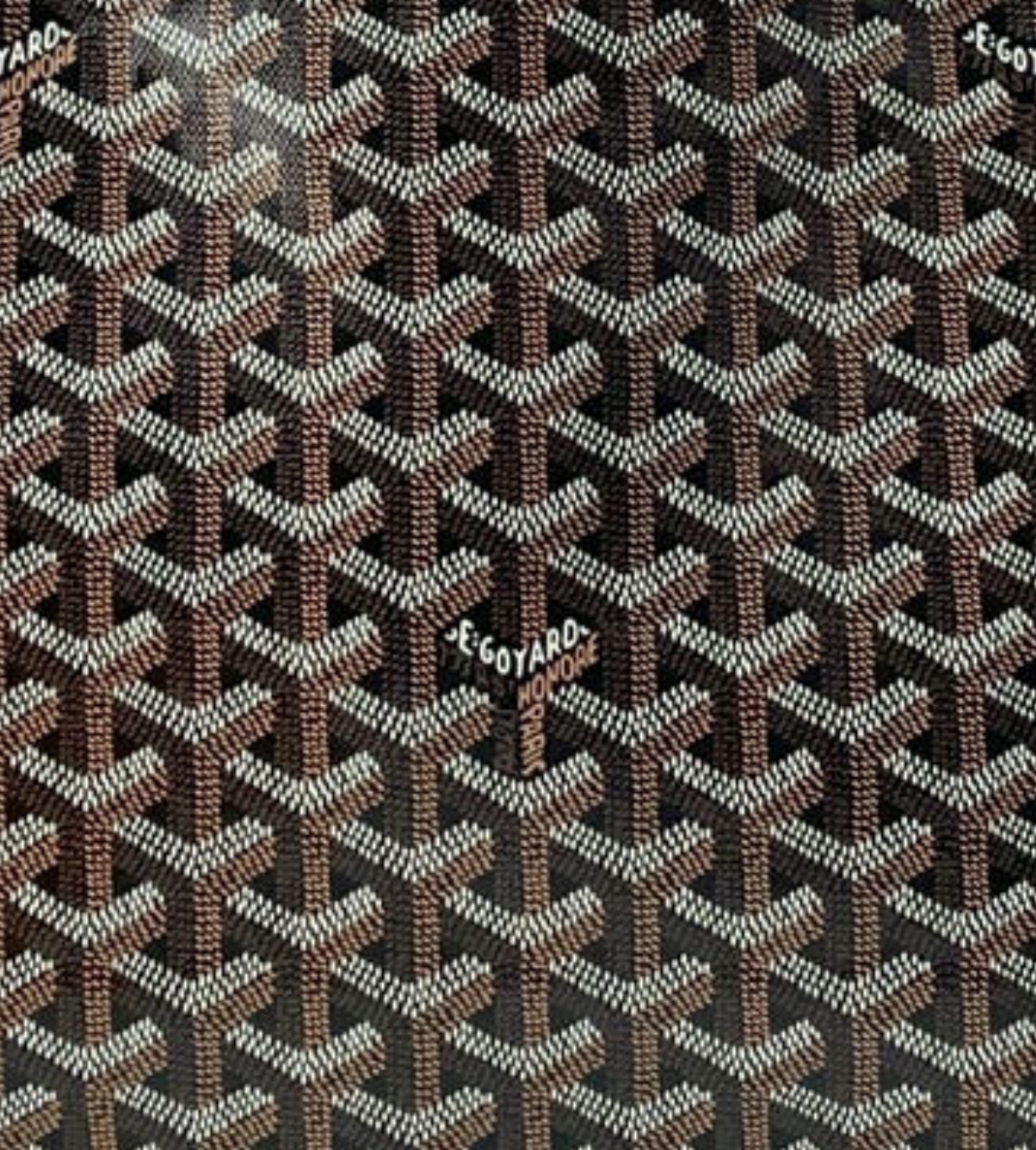 GOYARD Saint Louis PM in Black